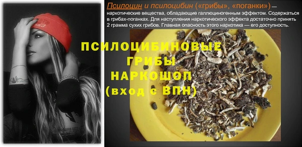 эйфоретик Пролетарск